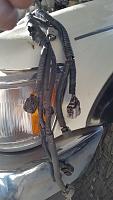 3.4 AT donor - MT recipient (Question)-xs-harness.jpg