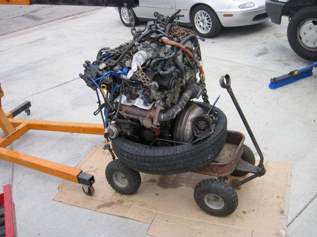 Name:  IMG_1388_2.jpg
Views: 1438
Size:  101.2 KB