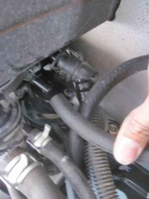 Name:  IMG_1858.jpg
Views: 629
Size:  71.3 KB