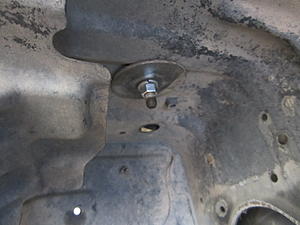 3.4 Swap 101-img_0246.jpg