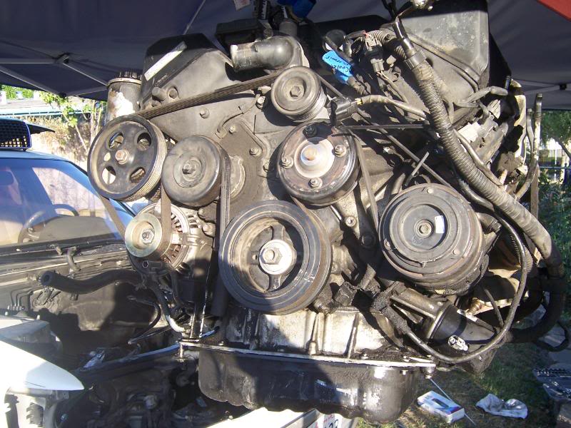 Name:  100_8669.jpg
Views: 5256
Size:  105.4 KB