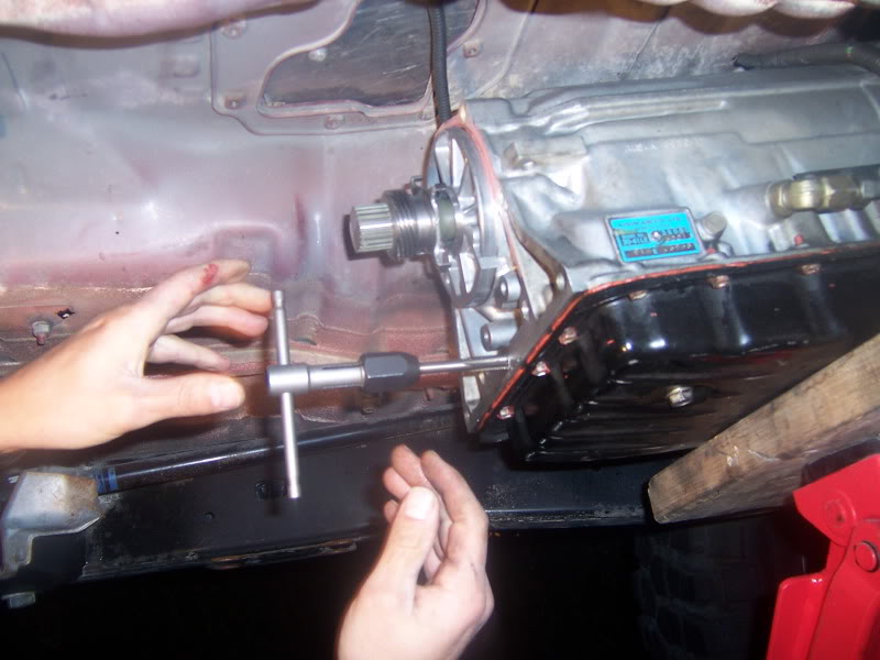 Name:  101_1715.jpg
Views: 5021
Size:  64.5 KB