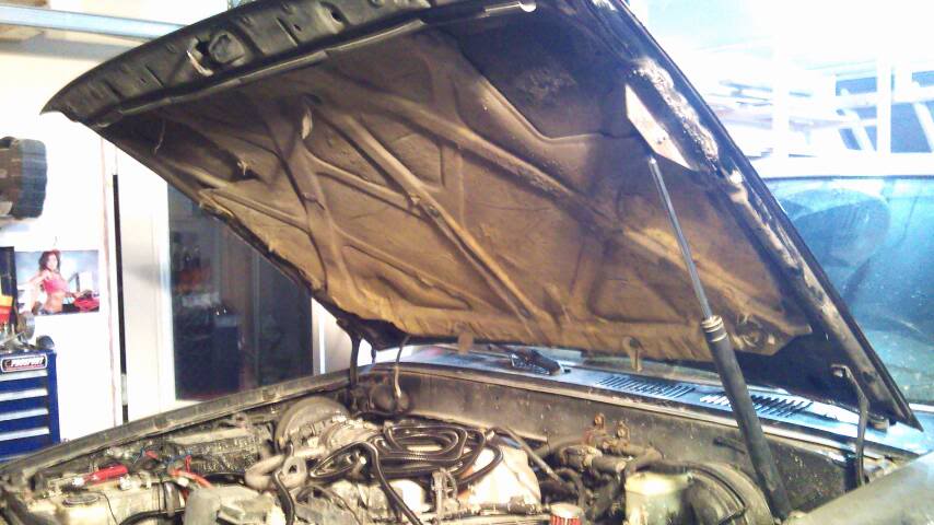 Name:  1299031587279.jpg
Views: 3191
Size:  64.6 KB