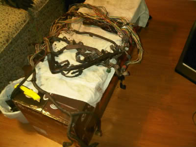 Name:  IMG00012-20100628-1951.jpg
Views: 2400
Size:  26.3 KB