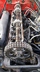OM617 into 1987 4Runner SR5-xfw8prz.jpg