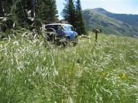 Let's see some of the cool scenery pics you've taken!-img_0246-small-small-wince-.jpg