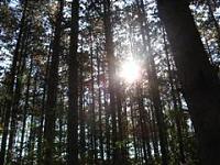 Let's see some of the cool scenery pics you've taken!-img_0649-small-small-wince-.jpg