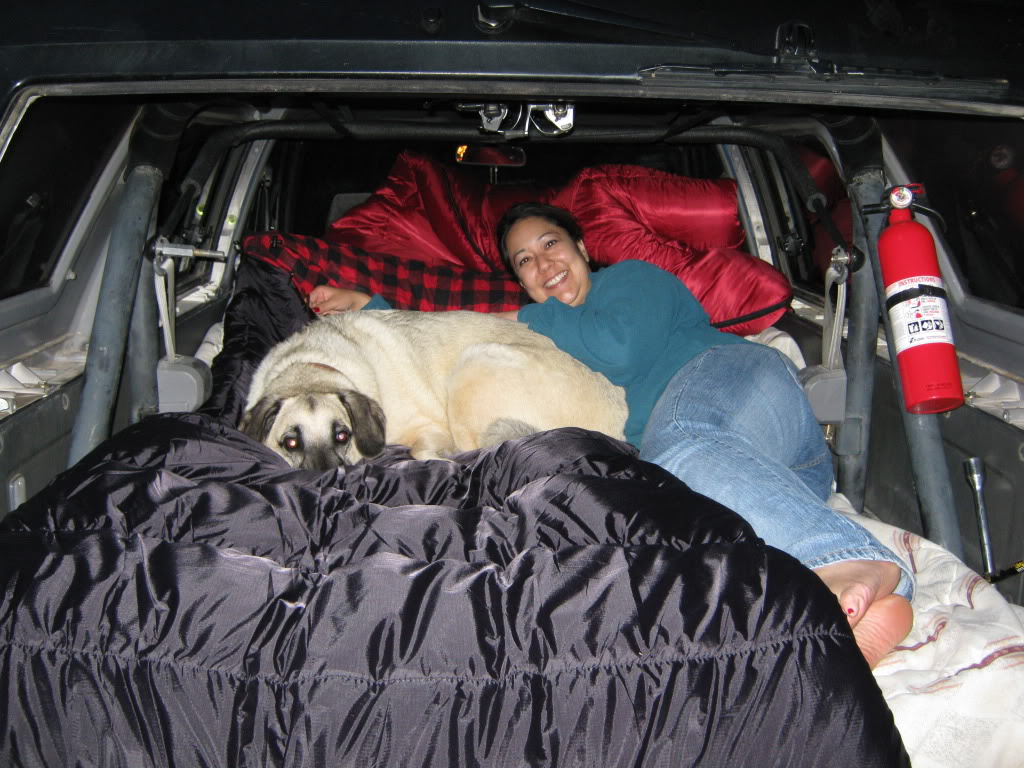Name:  truckmods090.jpg
Views: 830
Size:  175.7 KB
