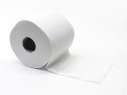 Name:  tolietpaper.jpg
Views: 1374
Size:  2.8 KB
