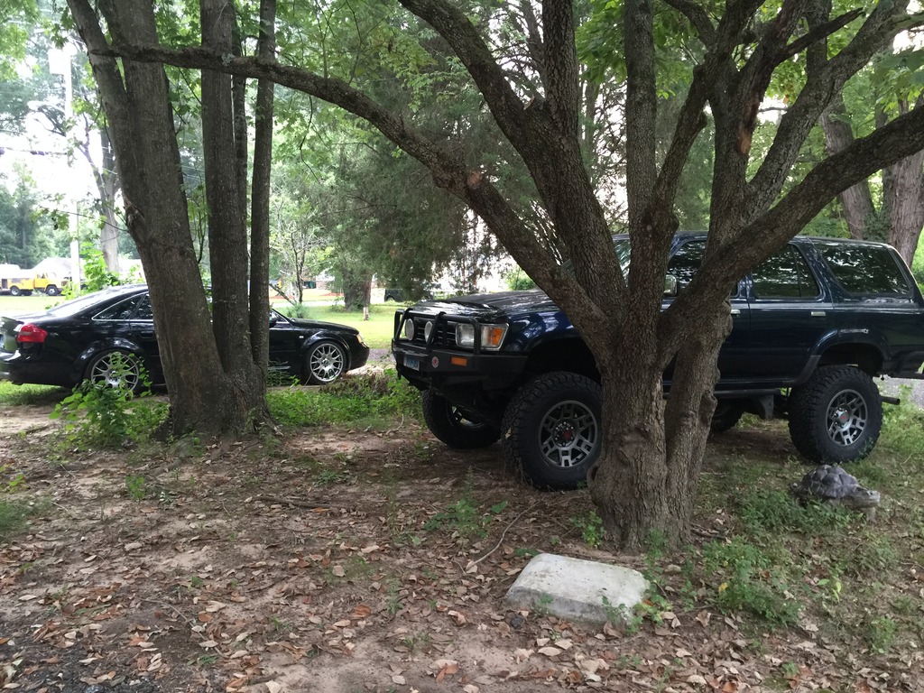 Name:  IMG_0227_zpsyqd0h3gy.jpg
Views: 30980
Size:  370.8 KB