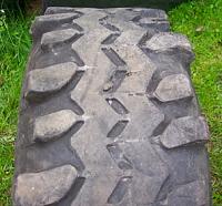 36" Swamper  - NY-picture-027_s.jpg