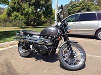 Post Pics of Your Motorcycle(s)!!-1175051_10201253974585489_1371161243_n.jpg