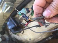fRaNkEnToY 81/83' Build up-image.jpg