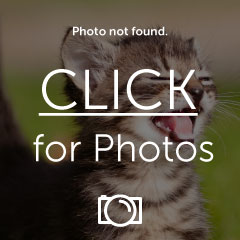 Name:  th_3BAA7FCD-1AFA-4EE6-8DB4-0E688BADA747_zpspbzp˟˟˟p.jpg
Views: 922
Size:  14.0 KB