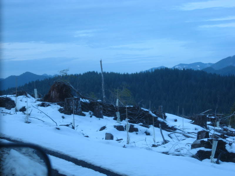 Name:  011.jpg
Views: 443
Size:  42.9 KB