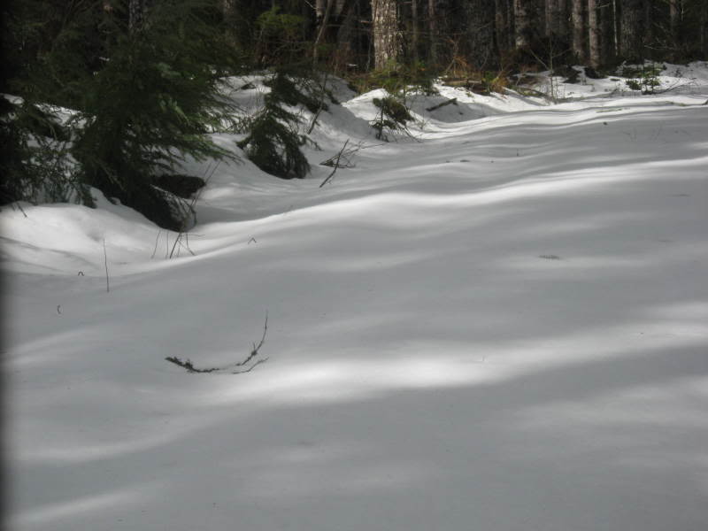 Name:  087.jpg
Views: 274
Size:  38.6 KB