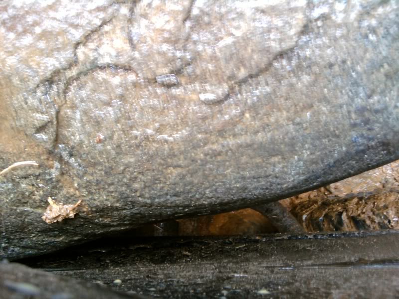 Name:  060.jpg
Views: 150
Size:  94.3 KB