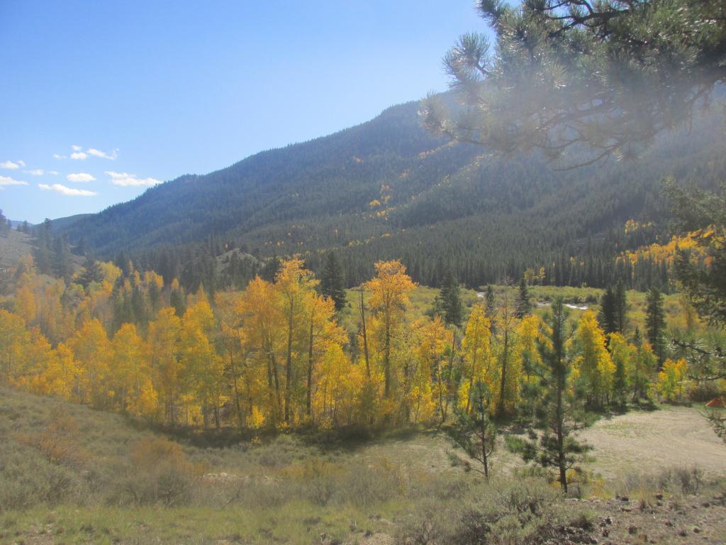 Name:  IMG_0455_zpsc6747e4e.jpg
Views: 113
Size:  106.4 KB