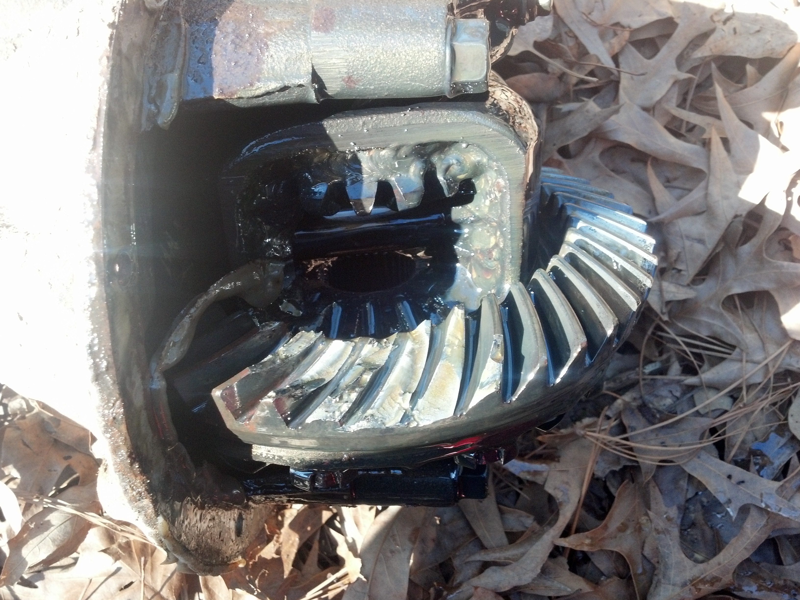 Name: 2013-03-09_14-22-51_908.jpg
Views: 268
Size: 2.02 MB
