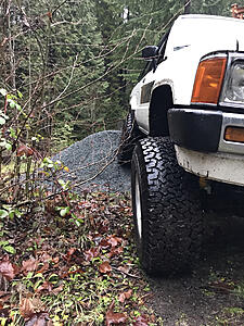 thefishguy77's The Car Seat Crawler-photo149.jpg