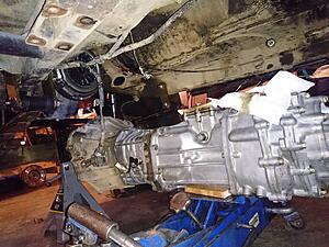 SqWADoosh's 1985 Runner Build-ci1y1pc.jpg