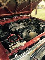 Ctheiss's slow Runner build up-image-2862576828.jpg