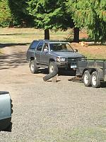 smilen724's 1993 4runner Build Thread-image4.jpg