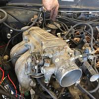 FSM Help-image-3558194237.jpg