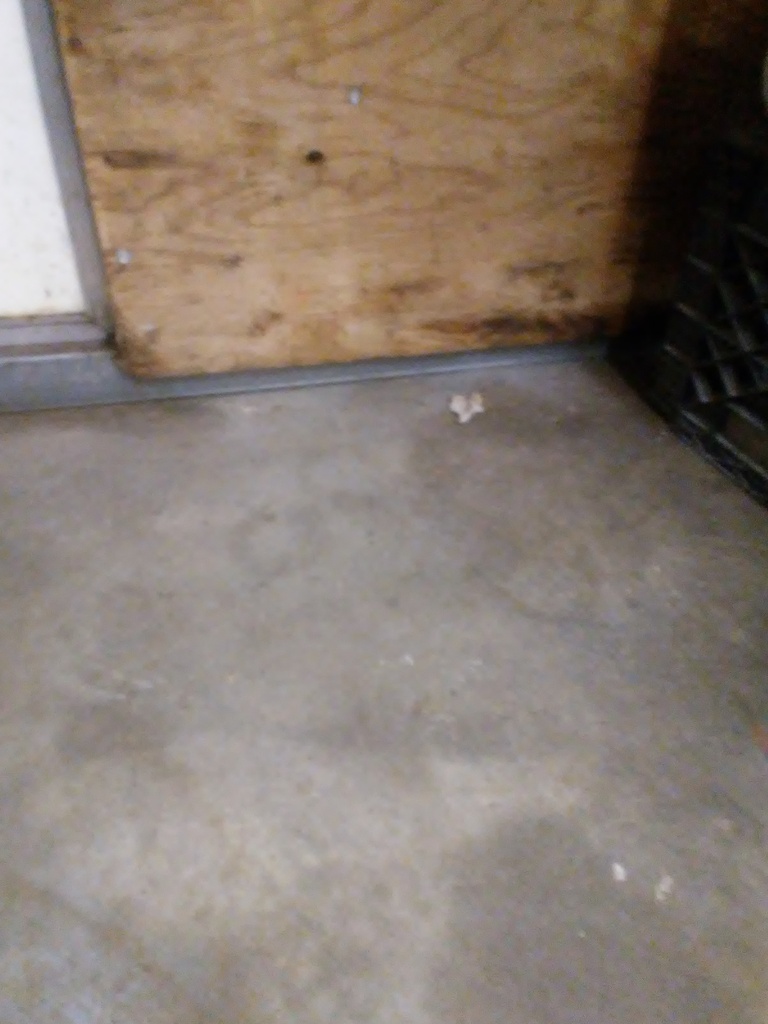 Name:  20160925_130905_zpsnmvwnoqb.jpg
Views: 104
Size:  172.8 KB