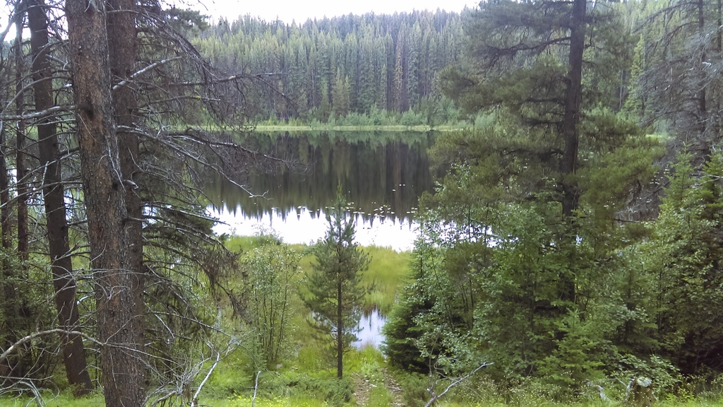 Name:  IMAG0868.jpg
Views: 149
Size:  363.0 KB