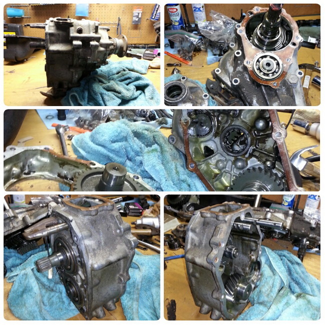Name:  1436136844_PhotoGrid_1436136812340-picsay_zps9ij5ubsi.jpg
Views: 546
Size:  174.3 KB