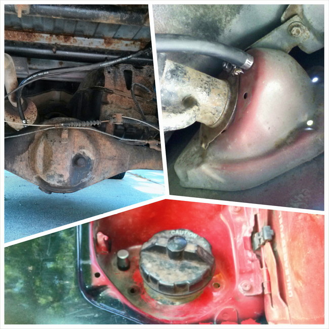 Name:  1431472543_PhotoGrid_1431471427178-picsay_zps2ozx8prk.jpg
Views: 39
Size:  122.9 KB
