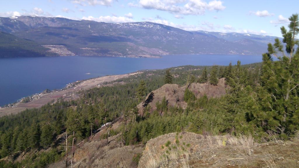 Name:  IMG_20150221_104009.jpg
Views: 86
Size:  96.4 KB