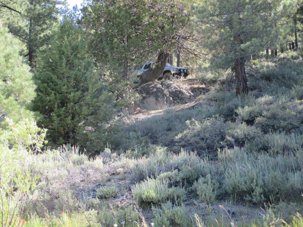 Name:  IMG_0694.jpg
Views: 27
Size:  193.6 KB