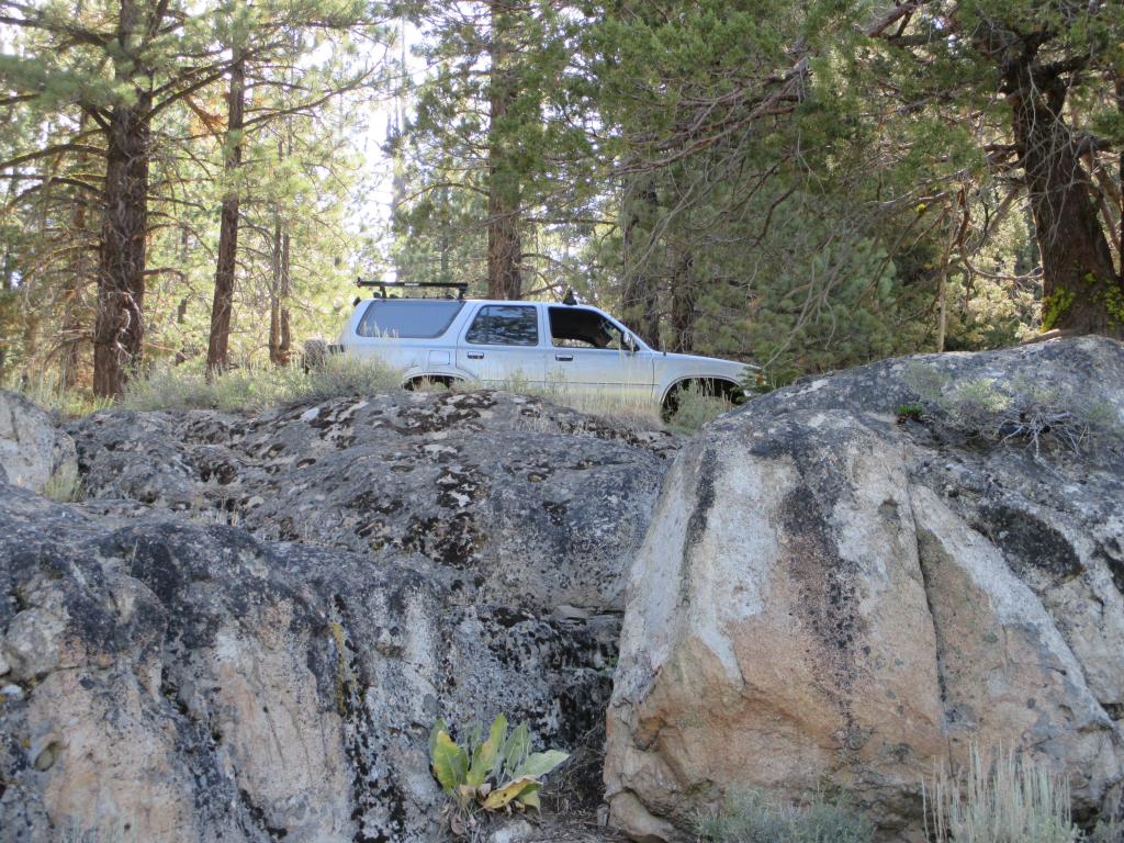 Name:  IMG_0674.jpg
Views: 26
Size:  190.8 KB
