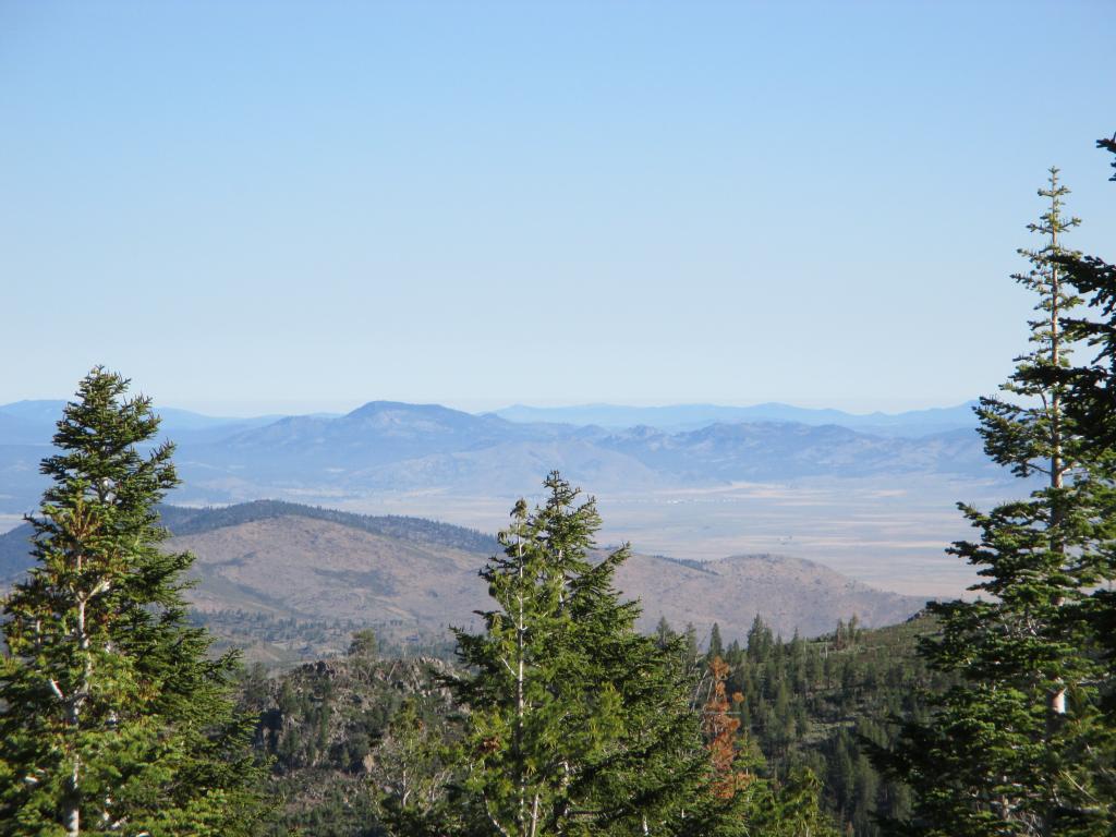 Name:  IMG_0653.jpg
Views: 26
Size:  103.4 KB