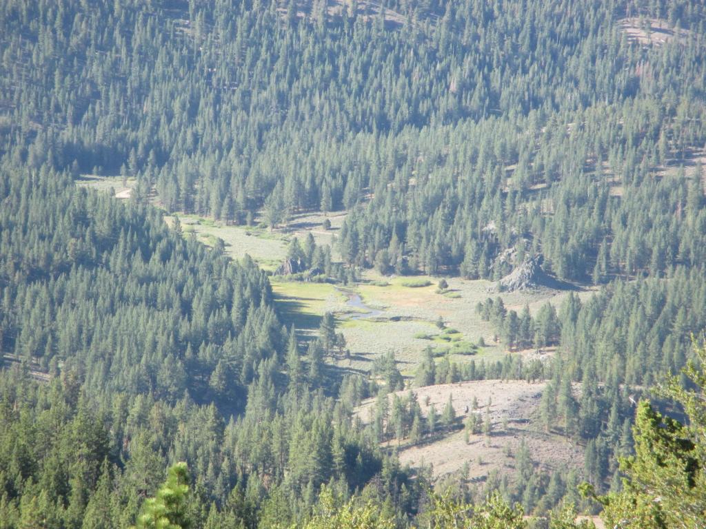 Name:  IMG_0657.jpg
Views: 25
Size:  161.1 KB