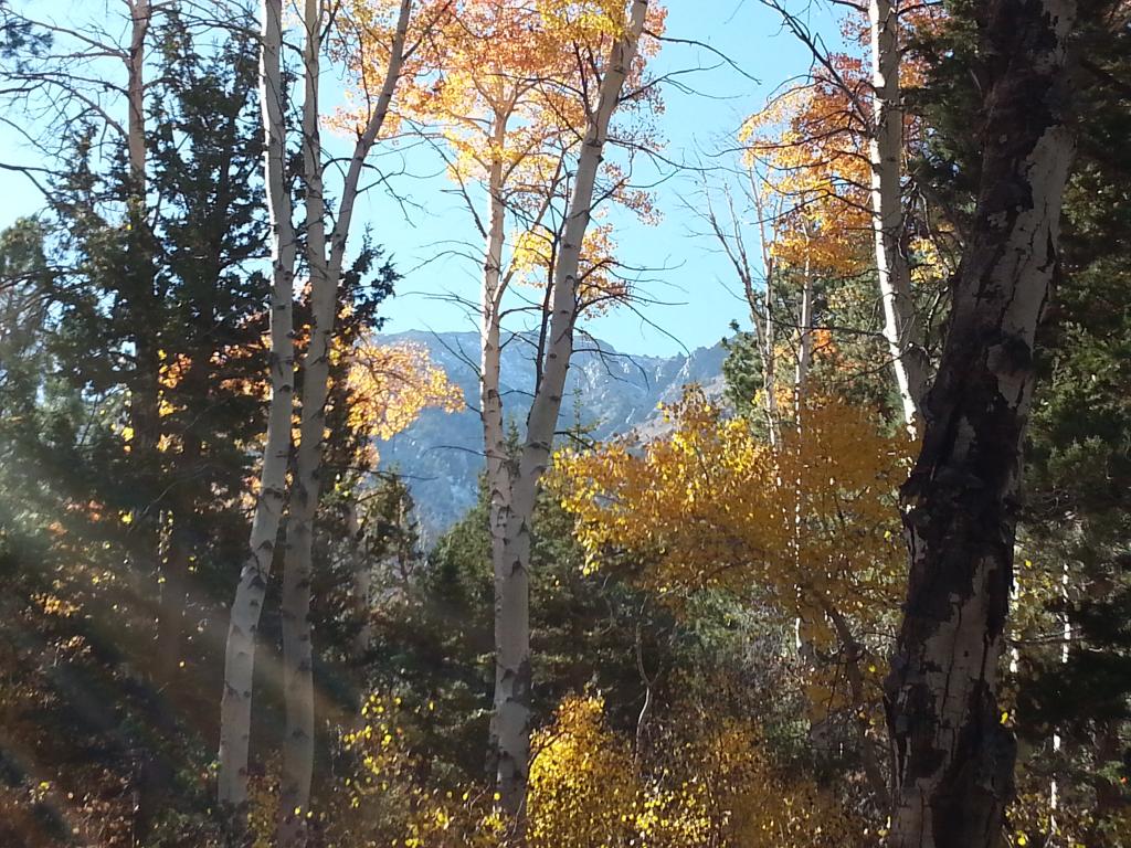 Name:  20131012_151638-Copy.jpg
Views: 36
Size:  194.2 KB