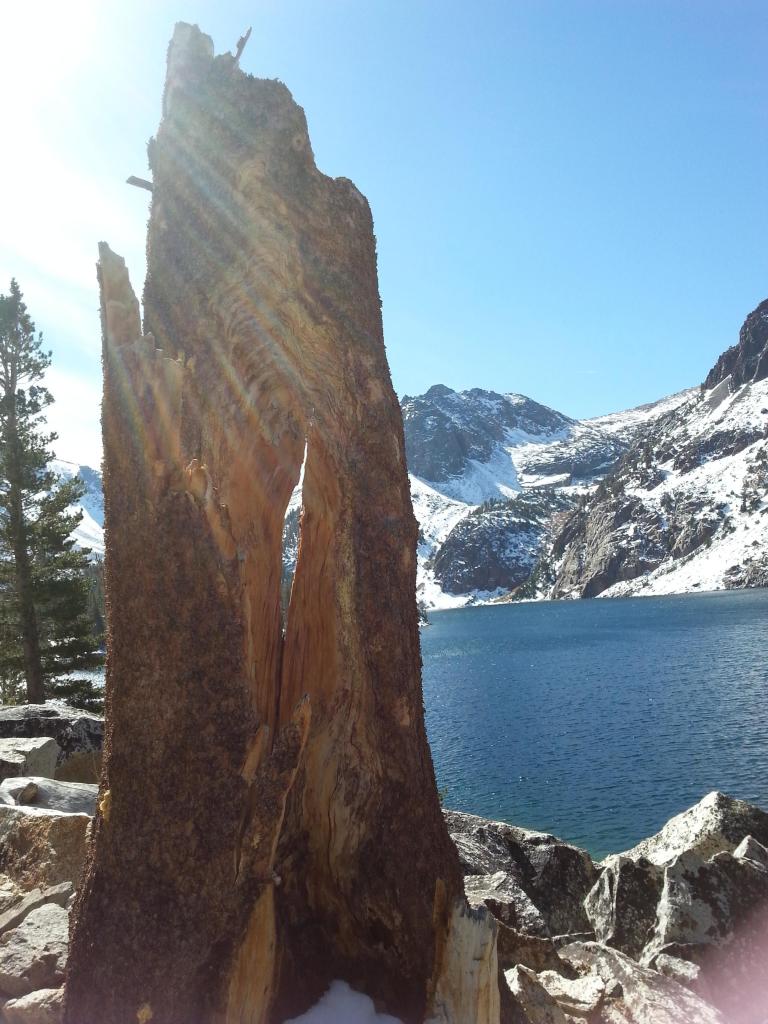Name:  20131012_113715-Copy.jpg
Views: 39
Size:  114.0 KB