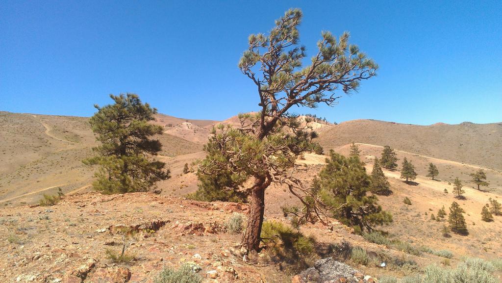 Name:  IMAG2046.jpg
Views: 88
Size:  133.7 KB