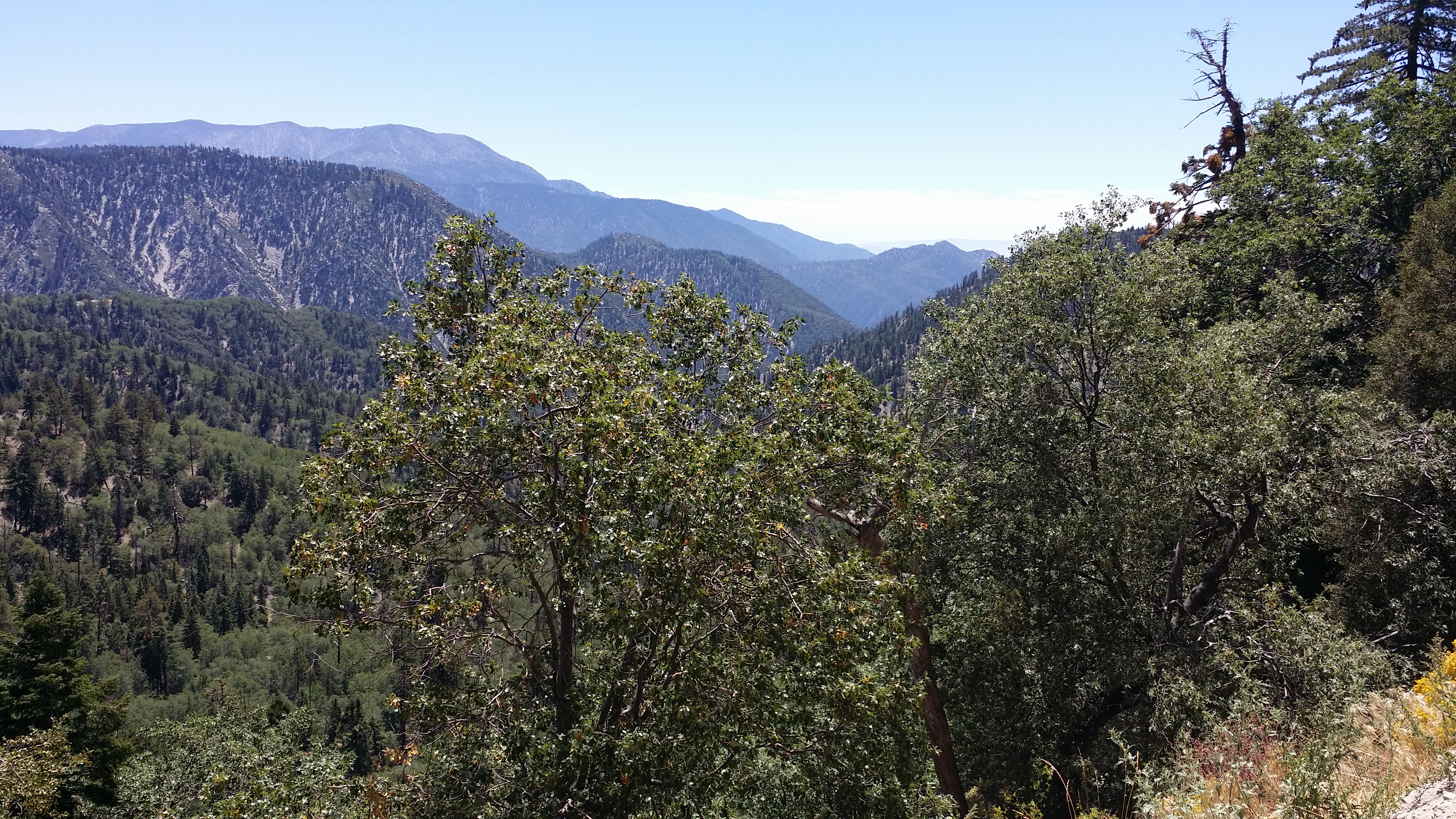 Name:  20140823_122441.jpg
Views: 55
Size:  5.69 MB