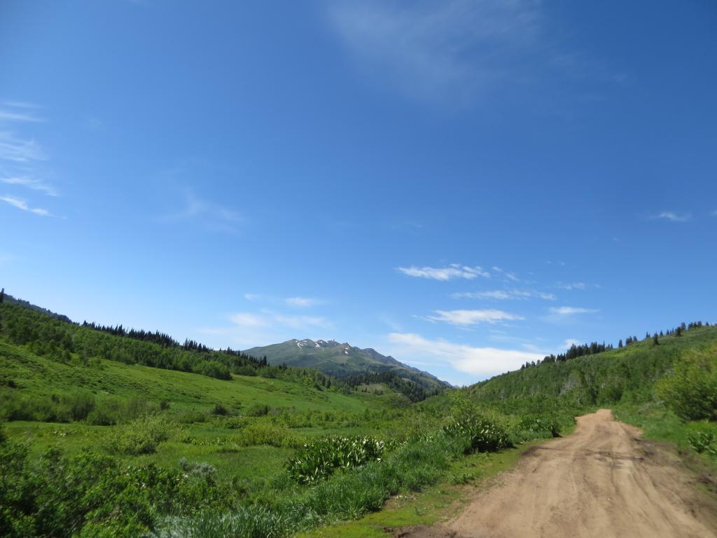 Name:  IMG_5097_zpsbdf64710.jpg
Views: 51
Size:  72.4 KB