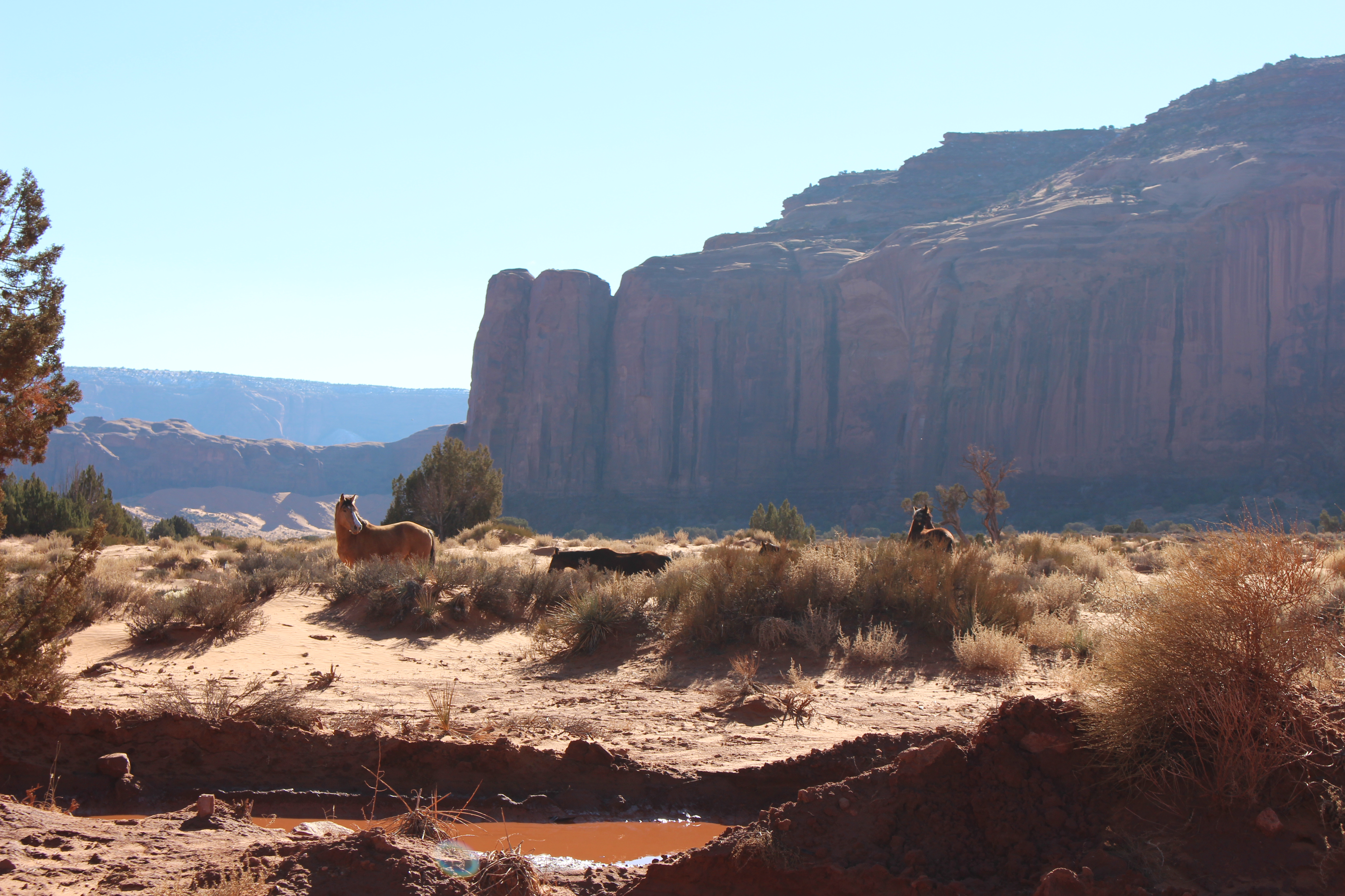 Name: IMG_2815_zpsbdb3a26f.jpg
Views: 197
Size: 6.08 MB