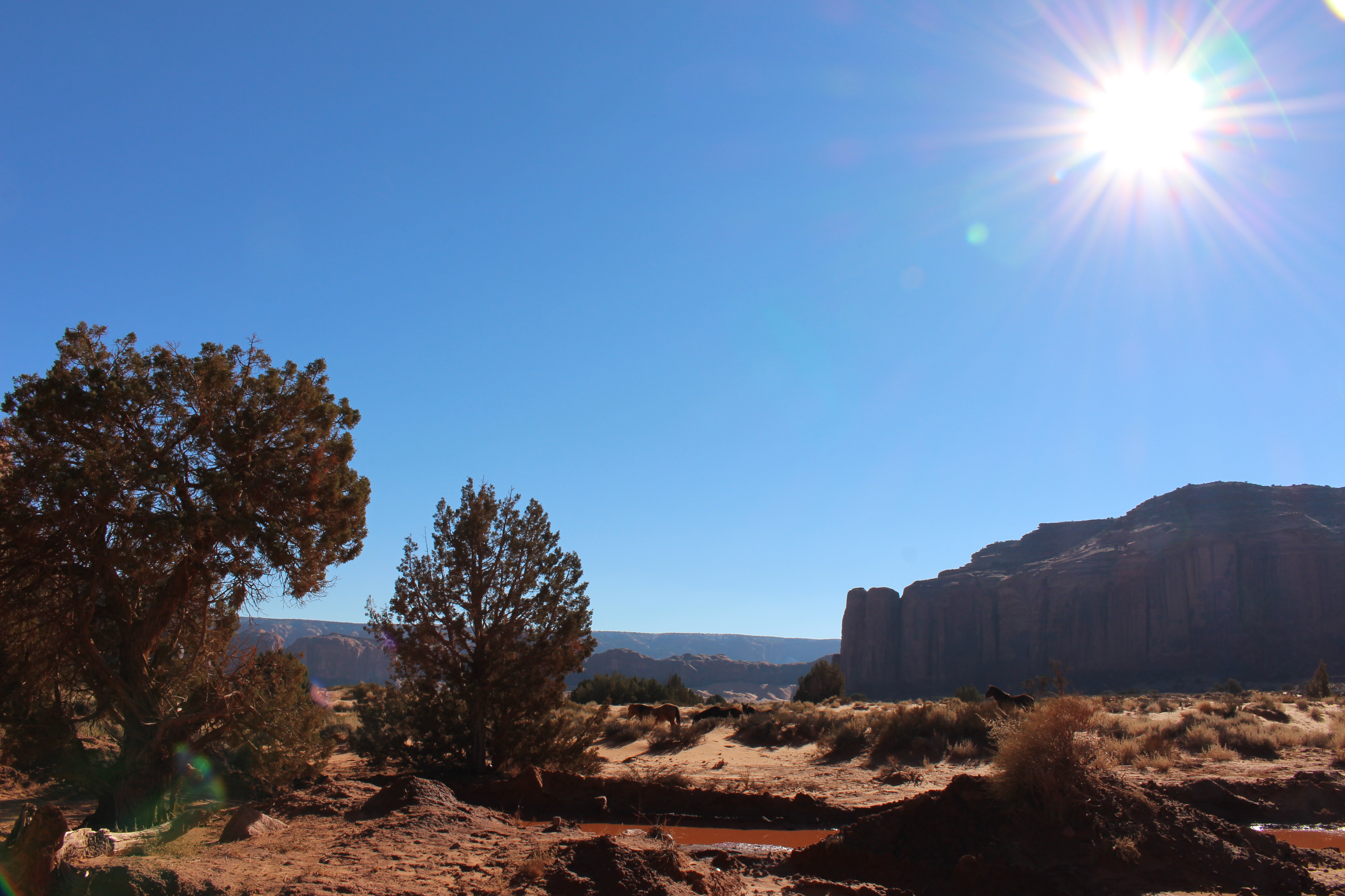 Name: IMG_2820_zps972e5d47.jpg
Views: 187
Size: 5.73 MB
