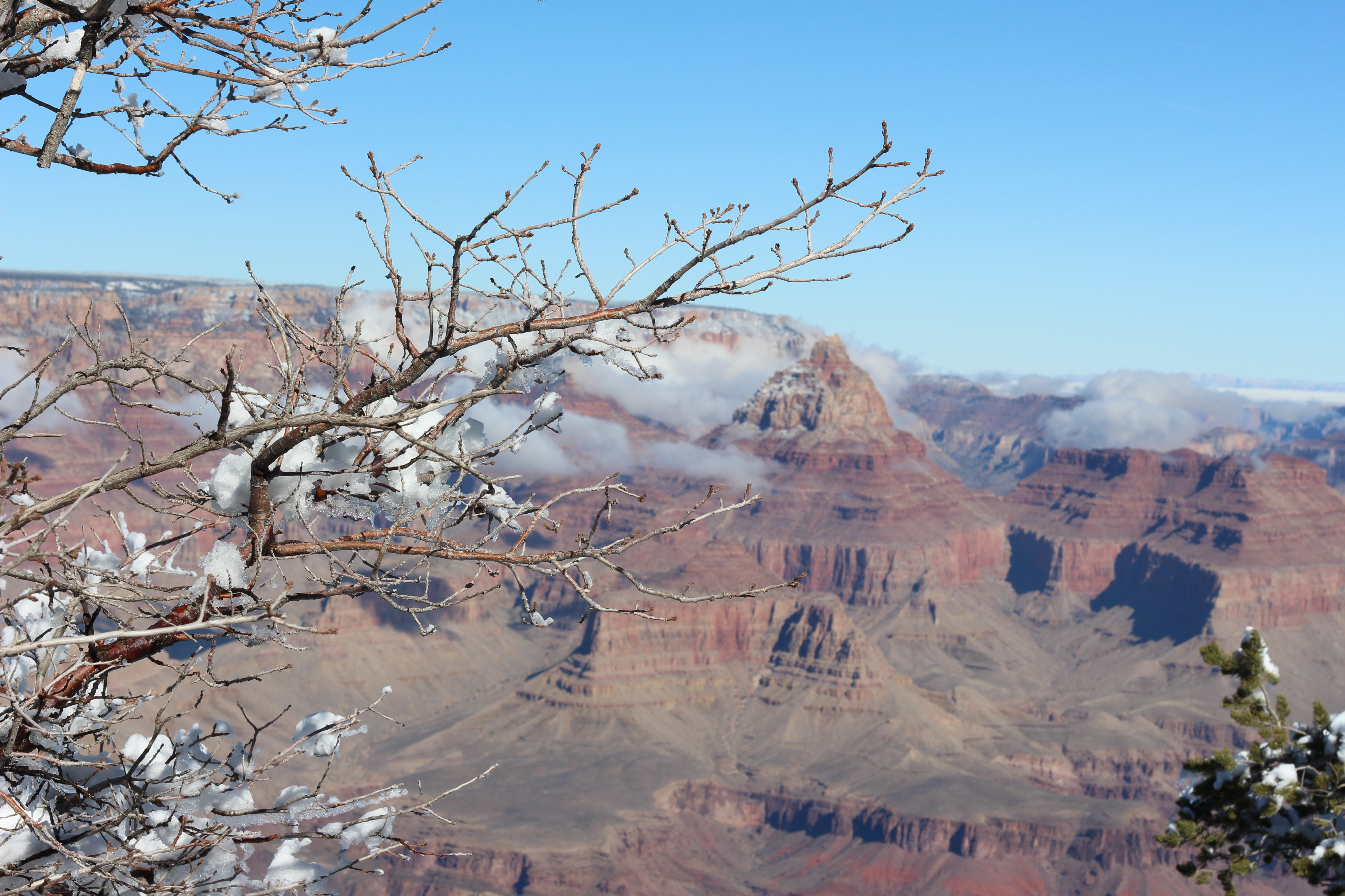 Name: IMG_2579_zpsd5d8a427.jpg
Views: 186
Size: 6.28 MB