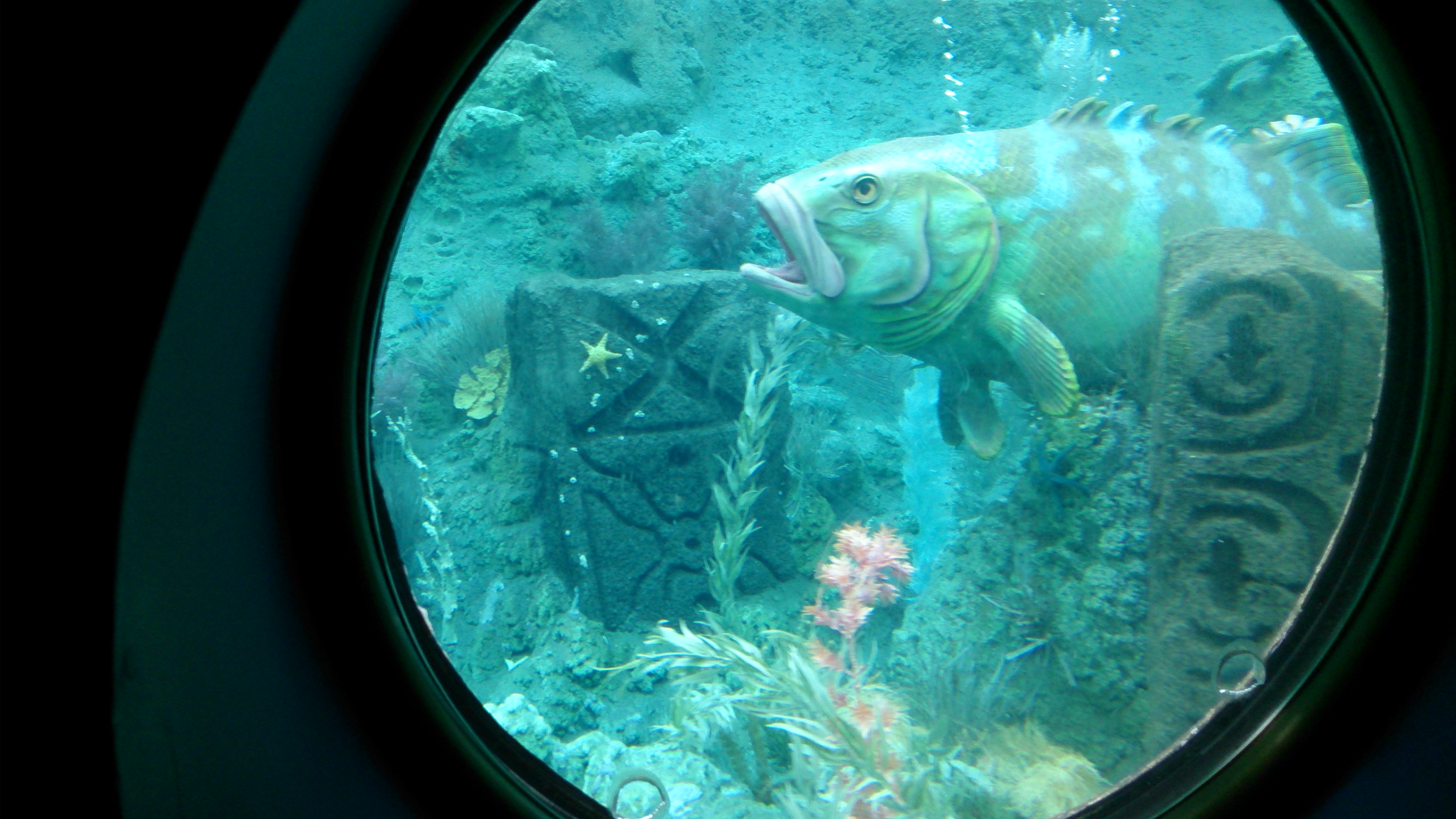 Name: DSC_0175_zps64be1f9f.jpg
Views: 76
Size: 1.07 MB