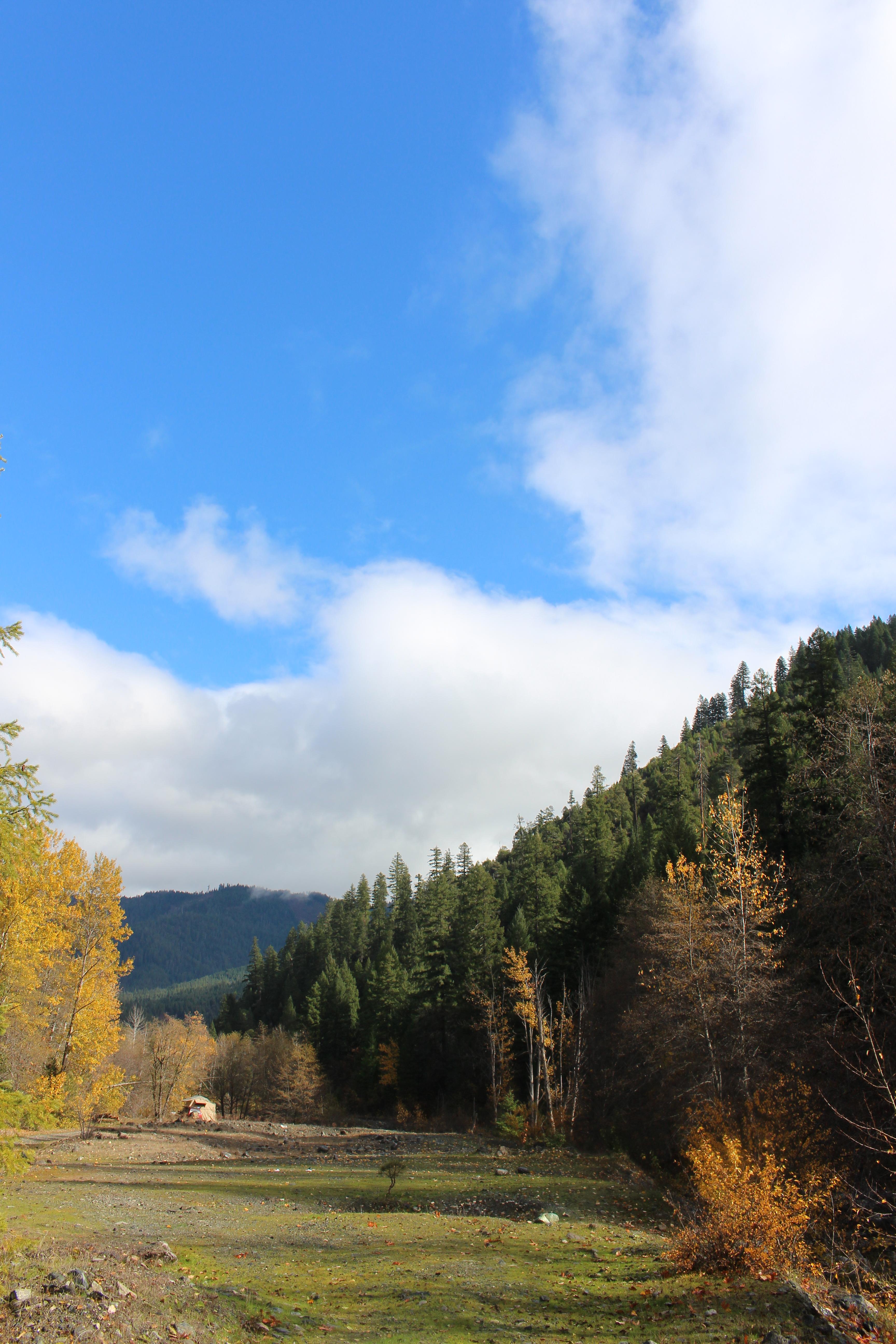 Name: IMG_1397_zps198222c7.jpg
Views: 61
Size: 1.49 MB