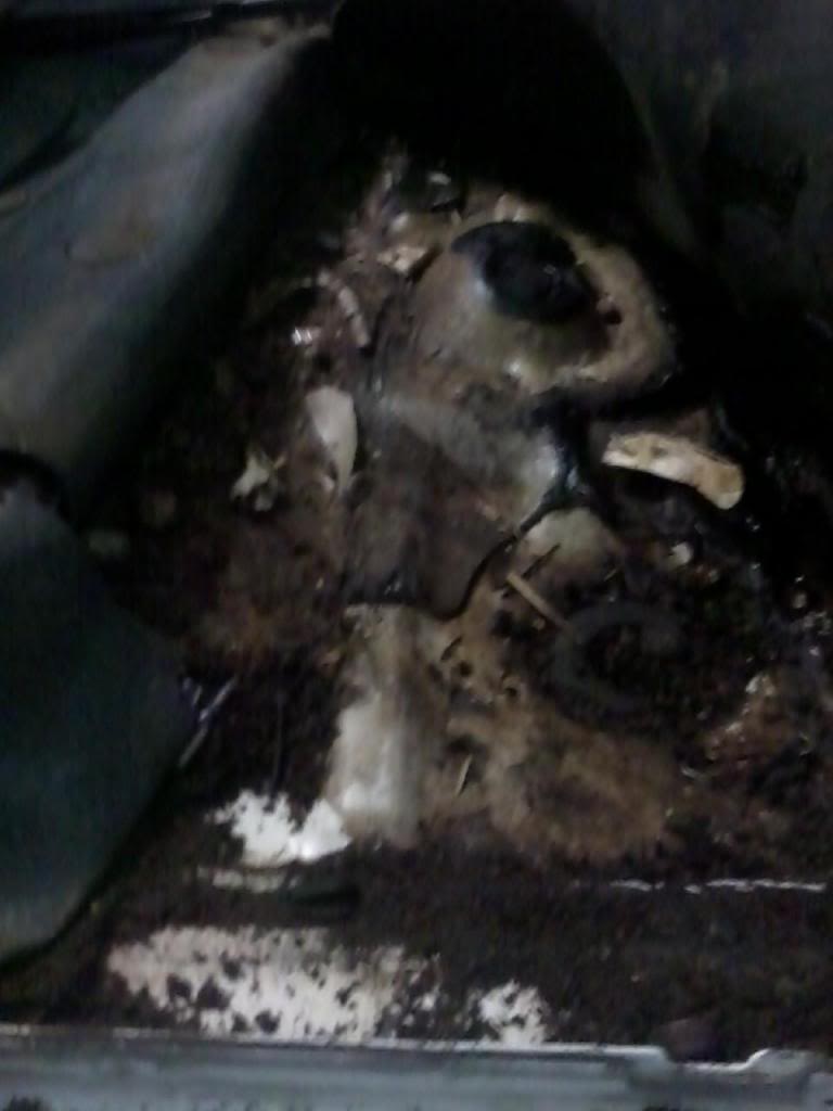 Name:  detail5_zps8fa8efc4.jpg
Views: 344
Size:  45.3 KB