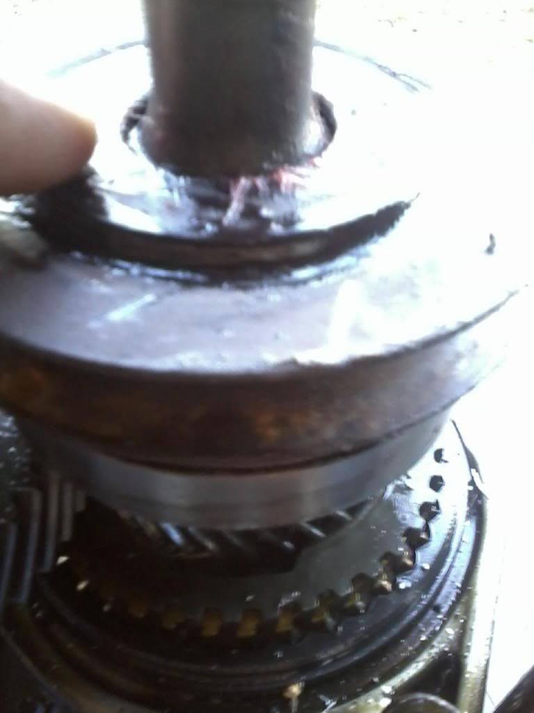 Name:  bubba2_zps23efaef5.jpg
Views: 269
Size:  45.2 KB