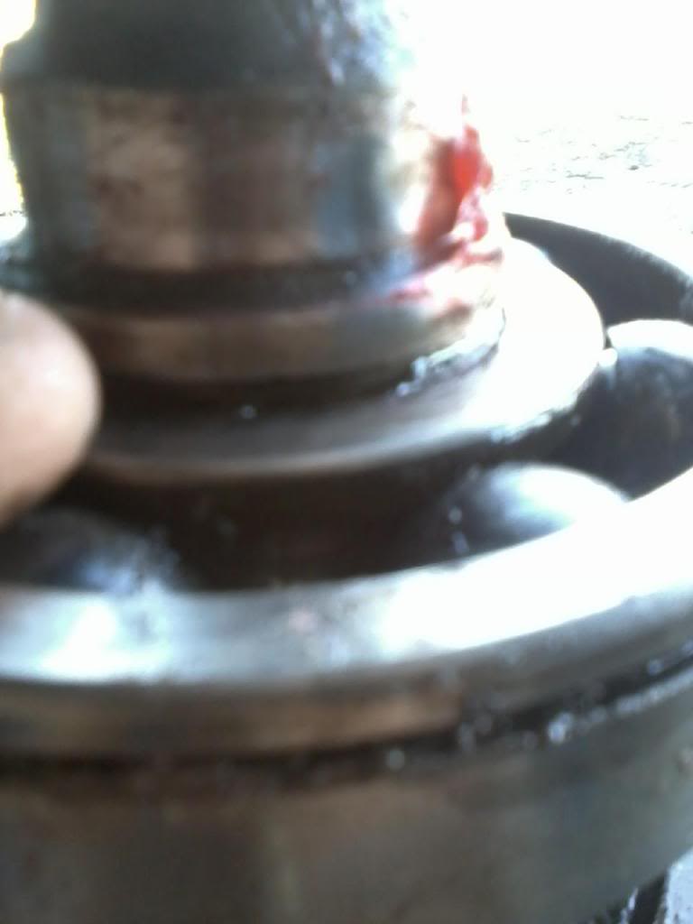 Name:  bubba1_zpse9126e54.jpg
Views: 263
Size:  34.9 KB
